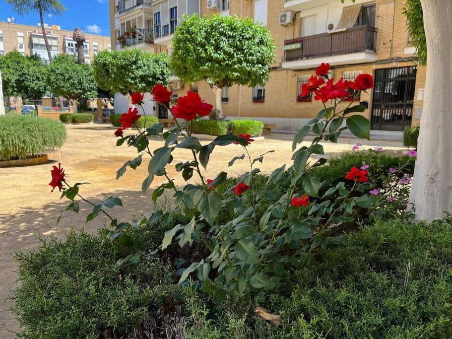 Triana Family Suites Sevilla Eksteriør billede