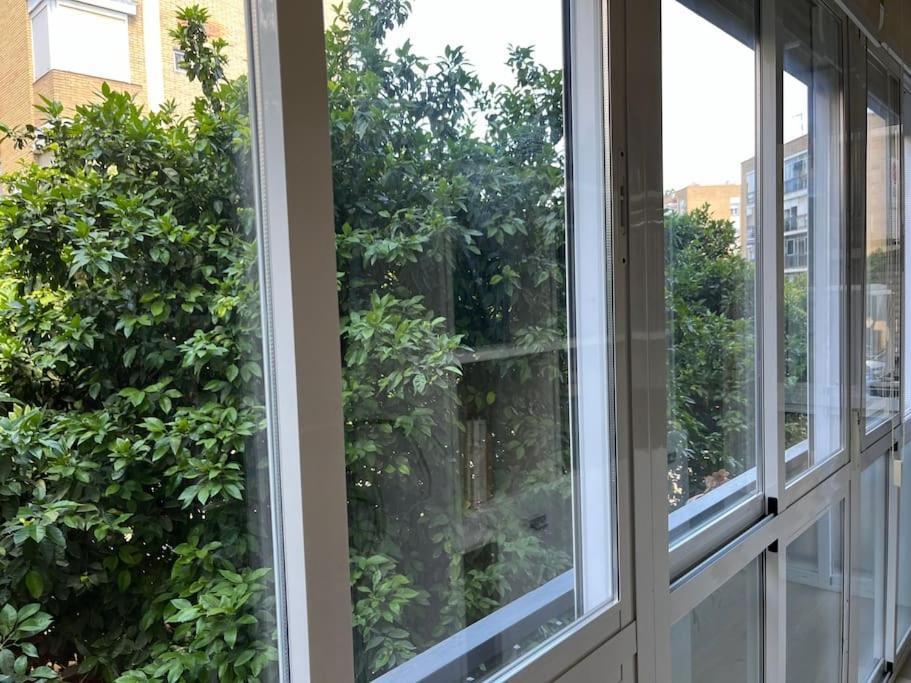 Triana Family Suites Sevilla Eksteriør billede
